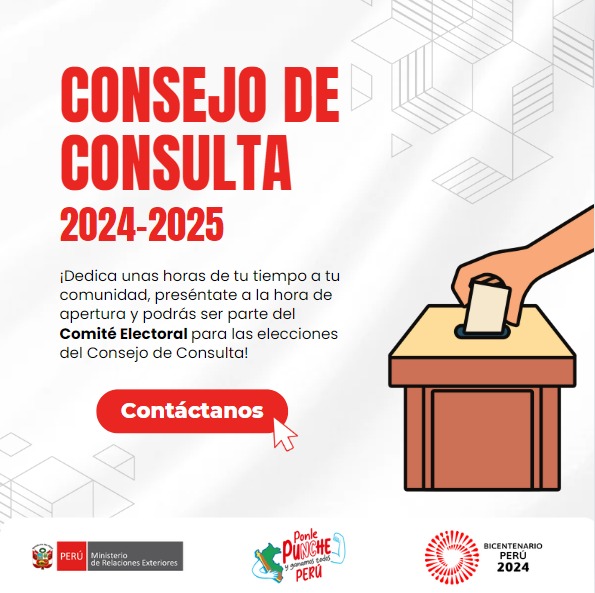 AFICHE COMITE ELECTORAL - CONSEJOS CONSULTA.jpeg